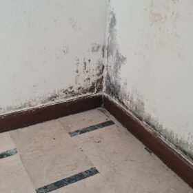 pintar las puertas de casa