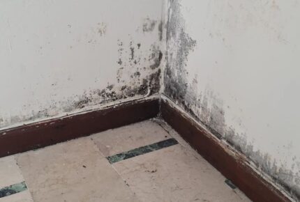 pintar las puertas de casa