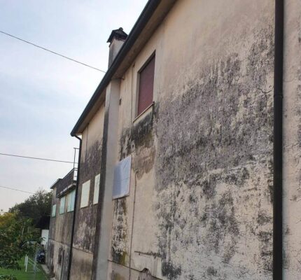 servicios pintado de casas