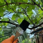 Deco Pintores PRO - Expertos en Pintura en Viver i Serrateix