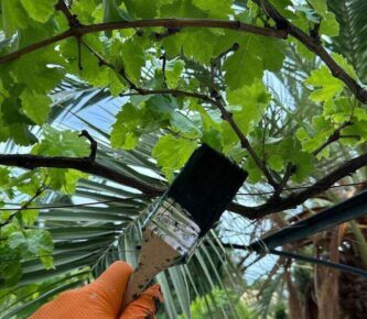 Deco Pintores PRO - Expertos en Pintura en Viver i Serrateix